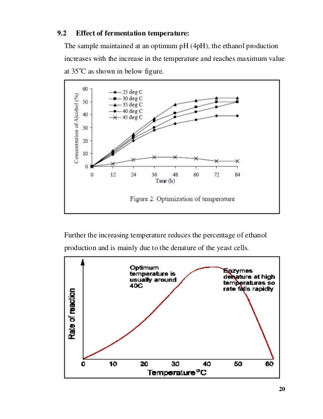 Lab report 40 yeast fermentation temperature