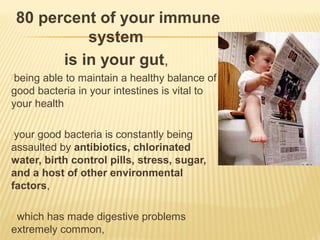 80 percent of your immune
system
is in your gut,
being able to maintain a healthy balance of
good bacteria in your intestines is vital to
your health
your good bacteria is constantly being
assaulted by antibiotics, chlorinated
water, birth control pills, stress, sugar,
and a host of other environmental
factors,
 which has made digestive problems
extremely common,
 