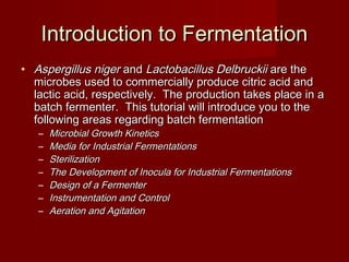 Introduction to FermentationIntroduction to Fermentation
• Aspergillus nigerAspergillus niger andand Lactobacillus DelbruckiiLactobacillus Delbruckii are theare the
microbes used to commercially produce citric acid andmicrobes used to commercially produce citric acid and
lactic acid, respectively. The production takes place in alactic acid, respectively. The production takes place in a
batch fermenter. This tutorial will introduce you to thebatch fermenter. This tutorial will introduce you to the
following areas regarding batch fermentationfollowing areas regarding batch fermentation
– Microbial Growth KineticsMicrobial Growth Kinetics
– Media for Industrial FermentationsMedia for Industrial Fermentations
– SterilizationSterilization
– The Development of Inocula for Industrial FermentationsThe Development of Inocula for Industrial Fermentations
– Design of a FermenterDesign of a Fermenter
– Instrumentation and ControlInstrumentation and Control
– Aeration and AgitationAeration and Agitation
 