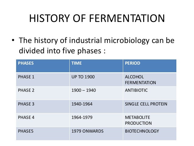Fermentation Fermented Food Type Of Fermented Food Microbial Ac