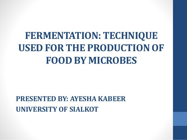 Warum ist Fermentation als Konservierungstechnik so wichtig? - Fermentation Technique UseD For The ProDuction Of FooD By Microbes 1 638
