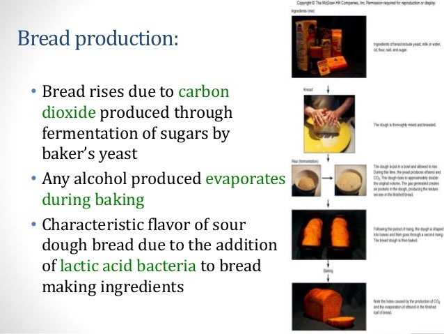 FERMENTATION: TECHNIQUE USED FOR THE PRODUCTION OF FOOD BY MICROBES - Fermentation Technique UseD For The ProDuction Of FooD By Microbes 10 638