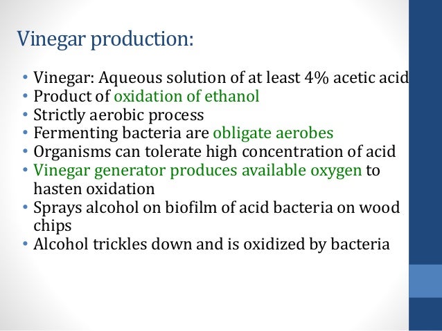 Warum ist Fermentation als Konservierungstechnik so wichtig? - Fermentation Technique UseD For The ProDuction Of FooD By Microbes 9 638
