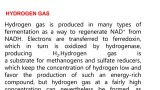 HYDROGEN GAS
Hydrogen gas is produced in many types of
fermentation as a way to regenerate NAD+ from
NADH. Electrons are transferred to ferredoxin,
which in turn is oxidized by hydrogenase,
producing H2.Hydrogen gas is
a substrate for methanogens and sulfate reducers,
which keep the concentration of hydrogen low and
favor the production of such an energy-rich
compound, but hydrogen gas at a fairly high
 