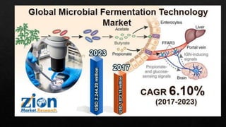 Fermentation Technology