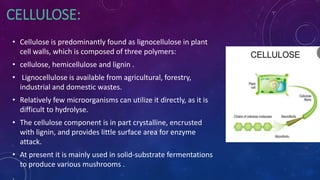 CELLULOSE:
• Cellulose is predominantly found as lignocellulose in plant
cell walls, which is composed of three polymers:
• cellulose, hemicellulose and lignin .
• Lignocellulose is available from agricultural, forestry,
industrial and domestic wastes.
• Relatively few microorganisms can utilize it directly, as it is
difficult to hydrolyse.
• The cellulose component is in part crystalline, encrusted
with lignin, and provides little surface area for enzyme
attack.
• At present it is mainly used in solid-substrate fermentations
to produce various mushrooms .
.
 