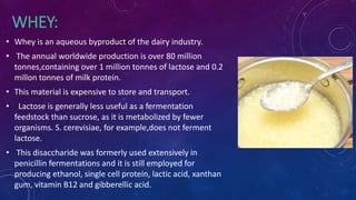 WHEY:
• Whey is an aqueous byproduct of the dairy industry.
• The annual worldwide production is over 80 million
tonnes,containing over 1 million tonnes of lactose and 0.2
millon tonnes of milk protein.
• This material is expensive to store and transport.
• Lactose is generally less useful as a fermentation
feedstock than sucrose, as it is metabolized by fewer
organisms. S. cerevisiae, for example,does not ferment
lactose.
• This disaccharide was formerly used extensively in
penicillin fermentations and it is still employed for
producing ethanol, single cell protein, lactic acid, xanthan
gum, vitamin B12 and gibberellic acid.
 
