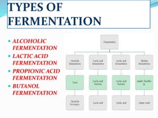 fermentation.pdf