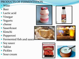 Pepperoni Fermentation fermentation.pdf