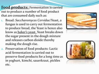 Fermentation Mixture fermentation.pdf