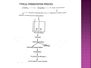 FERMENTATION..pptx