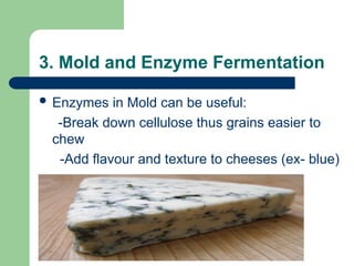 3. Mold and Enzyme Fermentation
 Enzymes in Mold can be useful:
-Break down cellulose thus grains easier to
chew
-Add flavour and texture to cheeses (ex- blue)
 