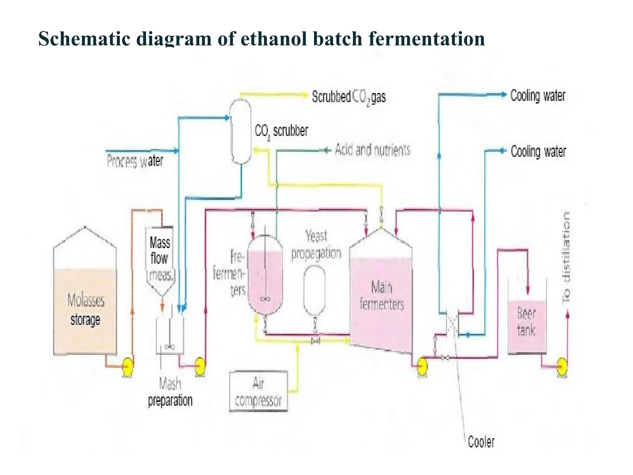 Schematic diagram of ethanol batch fermentation
 