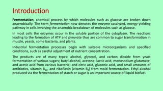 Comprehensive Overview of Fermentation Processes and Bioreactor Types | PDF