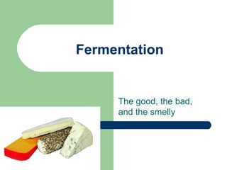 Fermentation
The good, the bad,
and the smelly
 