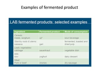 Examples of fermented product
 