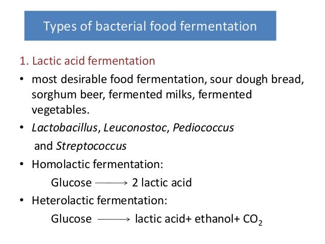 Types of Food Fermentation - Types Of FooD Fermentation 9 638