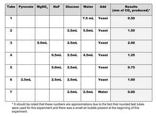 * It should be noted that these numbers are approximations due to the fact that rounded test tubes were used for this experiment and there was a small air bubble present at the beginning of this experiment. 0.00 Water 2.5mL 2.5mL 7 1.00 Yeast 2.5mL 2.5mL 2.5mL 6 0.75 Yeast 2.5mL 5.0mL 5 1.25 Yeast 4.5mL 2.5mL 0.5mL 4 2.00 Yeast 2.5mL 5.0mL 3 1.50 Yeast 5.0mL 2.5mL 2 0.50 Yeast 7.5 mL 1 Results (mm of CO 2  produced)* Add Water Glucose NaF MgSO 4 Pyruvate Tube 