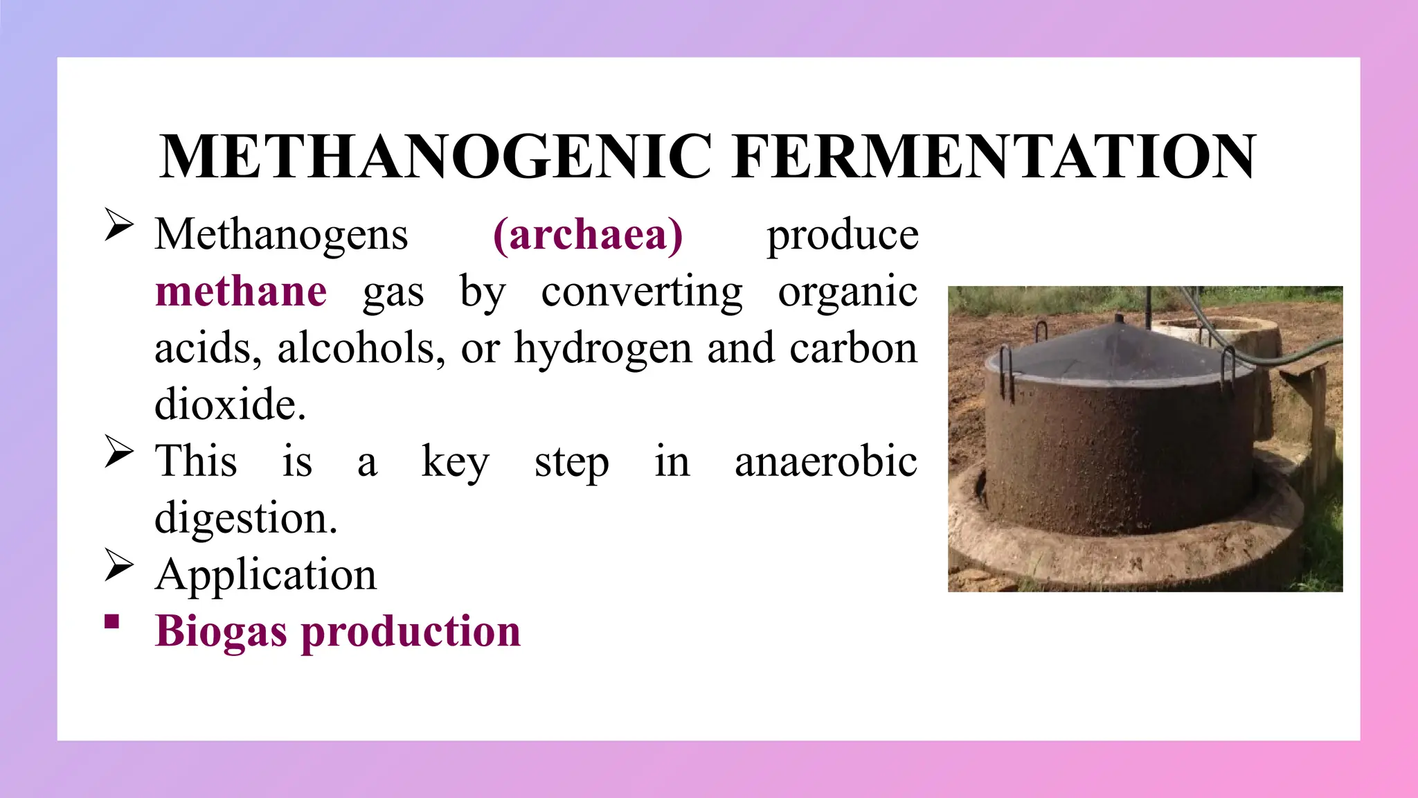 METHANOGENIC FERMENTATION
 Methanogens (archaea) produce
methane gas by converting organic
acids, alcohols, or hydrogen and carbon
dioxide.
 This is a key step in anaerobic
digestion.
 Application
 Biogas production
 