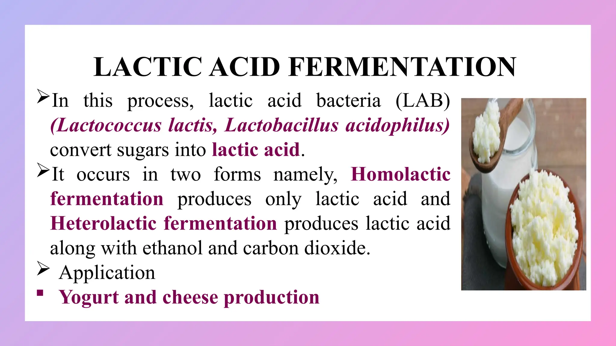 LACTIC ACID FERMENTATION
In this process, lactic acid bacteria (LAB)
(Lactococcus lactis, Lactobacillus acidophilus)
convert sugars into lactic acid.
It occurs in two forms namely, Homolactic
fermentation produces only lactic acid and
Heterolactic fermentation produces lactic acid
along with ethanol and carbon dioxide.
 Application
 Yogurt and cheese production
 