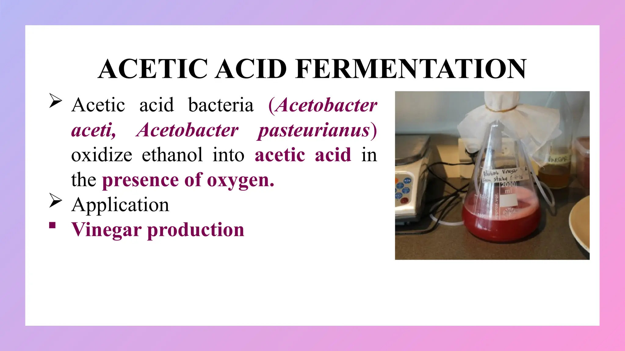 ACETIC ACID FERMENTATION
 Acetic acid bacteria (Acetobacter
aceti, Acetobacter pasteurianus)
oxidize ethanol into acetic acid in
the presence of oxygen.
 Application
 Vinegar production
 