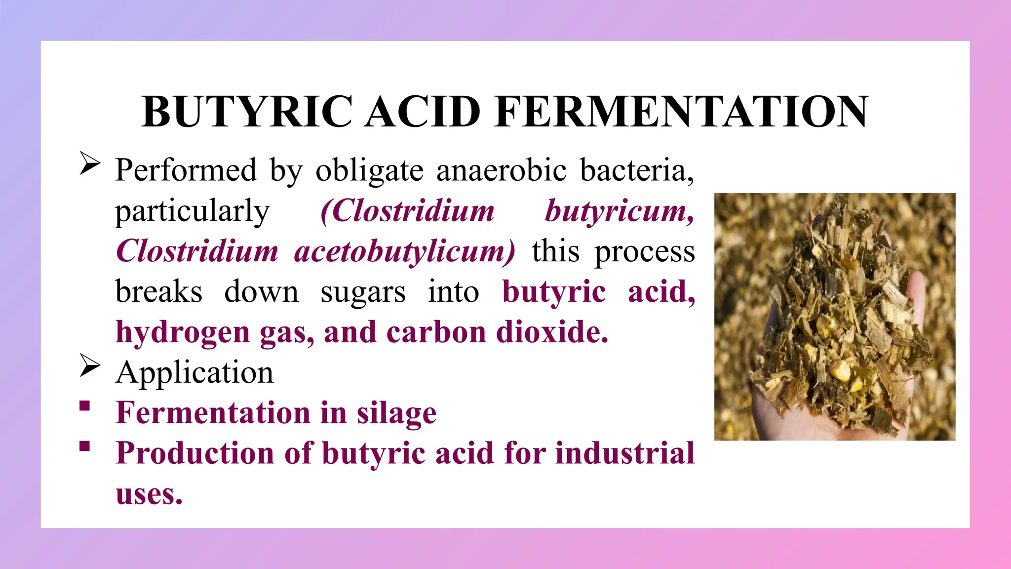 BUTYRIC ACID FERMENTATION
 Performed by obligate anaerobic bacteria,
particularly (Clostridium butyricum,
Clostridium acetobutylicum) this process
breaks down sugars into butyric acid,
hydrogen gas, and carbon dioxide.
 Application
 Fermentation in silage
 Production of butyric acid for industrial
uses.
 