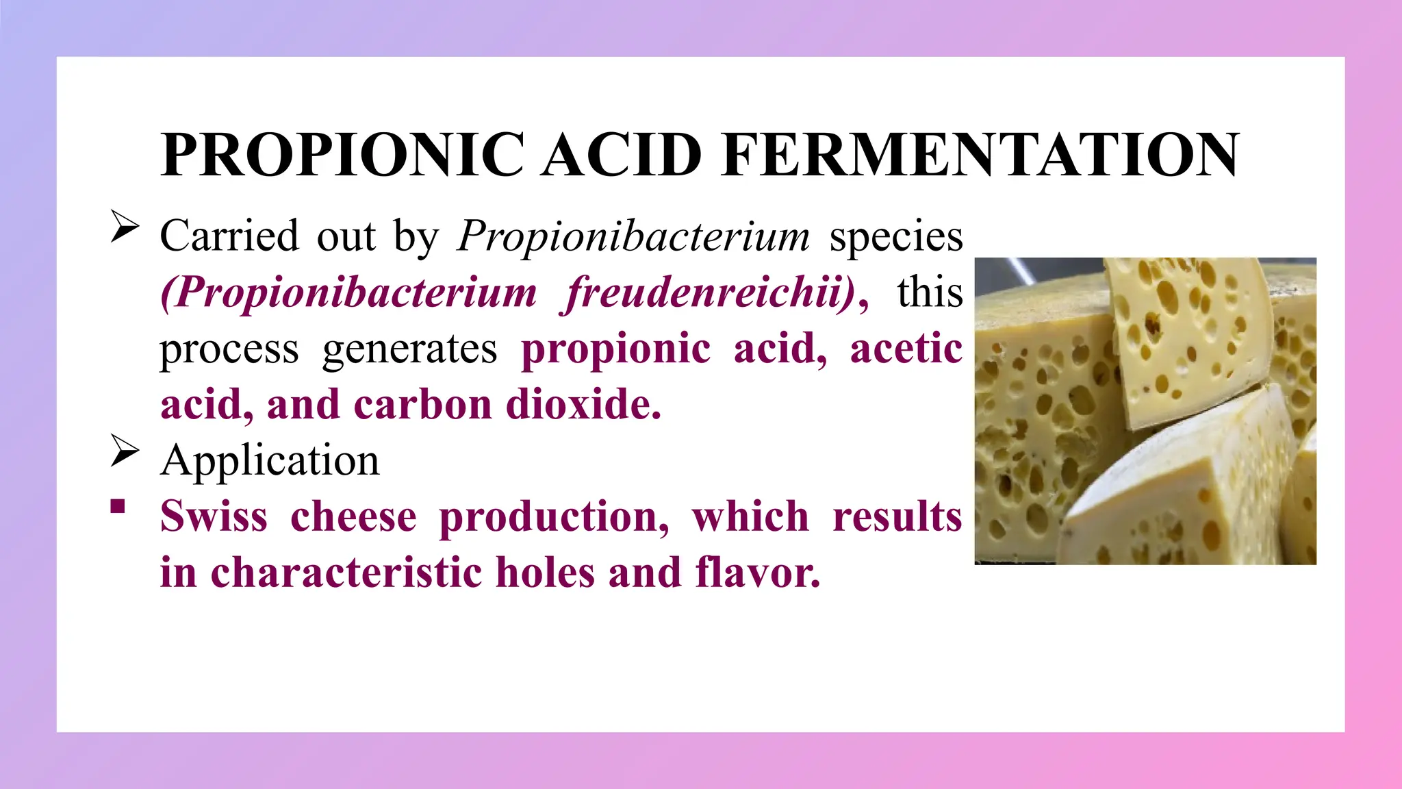 PROPIONIC ACID FERMENTATION
 Carried out by Propionibacterium species
(Propionibacterium freudenreichii), this
process generates propionic acid, acetic
acid, and carbon dioxide.
 Application
 Swiss cheese production, which results
in characteristic holes and flavor.
 