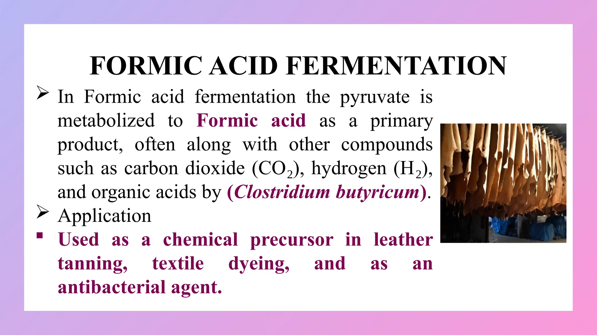 FORMIC ACID FERMENTATION
 In Formic acid fermentation the pyruvate is
metabolized to Formic acid as a primary
product, often along with other compounds
such as carbon dioxide (CO ), hydrogen (H ),
₂ ₂
and organic acids by (Clostridium butyricum).
 Application
 Used as a chemical precursor in leather
tanning, textile dyeing, and as an
antibacterial agent.
 
