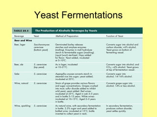 Yeast Fermentations
 