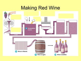 Making Red Wine
 