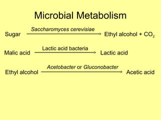Microbial Metabolism
Sugar Ethyl alcohol + CO2
Saccharomyces cerevisiae
Malic acid Lactic acid
Lactic acid bacteria
Ethyl alcohol Acetic acid
Acetobacter or Gluconobacter
 