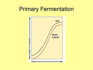 Primary Fermentation
 