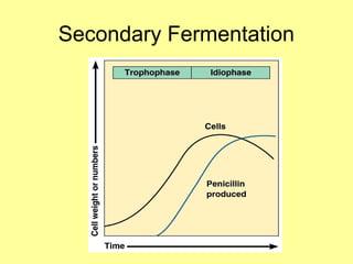 Secondary Fermentation
 