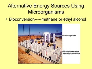 Alternative Energy Sources Using
Microorganisms
• Bioconversion-----methane or ethyl alcohol
 