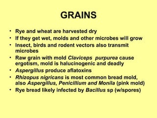 GRAINS
• Rye and wheat are harvested dry
• If they get wet, molds and other microbes will grow
• Insect, birds and rodent vectors also transmit
microbes
• Raw grain with mold Claviceps purpurea cause
ergotism, mold is halucinogenic and deadly
• Aspergillus produce aflatoxins
• Rhizopus nigricans is most common bread mold,
also Aspergillus, Penicillium and Monila (pink mold)
• Rye bread likely infected by Bacillus sp (w/spores)
 