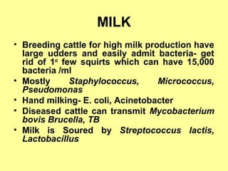 MILK
• Breeding cattle for high milk production have
large udders and easily admit bacteria- get
rid of 1st
few squirts which can have 15,000
bacteria /ml
• Mostly Staphylococcus, Micrococcus,
Pseudomonas
• Hand milking- E. coli, Acinetobacter
• Diseased cattle can transmit Mycobacterium
bovis Brucella, TB
• Milk is Soured by Streptococcus lactis,
Lactobacillus
 
