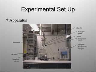 Fermentation kinetics | PPT