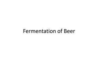 Fermentation of Beer
 
