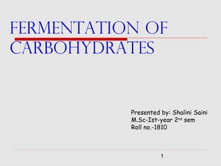 1
FERMENTATION OF
CARBOHYDRATES
Presented by: Shalini Saini
M.Sc-Ist-year 2nd
sem
Roll no.-1810
 