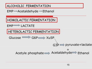 15
ALCOHOLIC FERMENTATION
EMP Acetaldehyde Ethanol
HOMOLACTIC FERMENTATION
EMP LACTATE
HETEROLACTIC FERMENTATION
Glucose G6P Xu5P
G3P pyruvate+lactate
+
Acetyle phosphate Acetaldehyde Ethanol
 