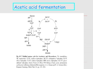 18
Acetic acid fermentation
 