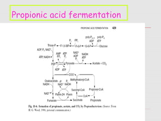 19
Propionic acid fermentation
 