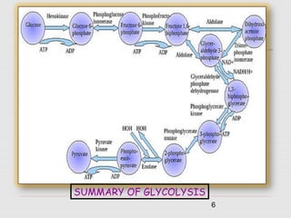 6
SUMMARY OF GLYCOLYSIS
 