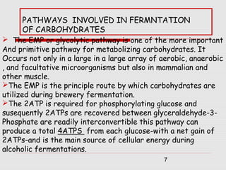 7
PATHWAYS INVOLVED IN FERMNTATION
OF CARBOHYDRATES
 The EMP or glycolytic pathway is one of the more important
And primitive pathway for metabolizing carbohydrates. It
Occurs not only in a large in a large array of aerobic, anaerobic
, and facultative microorganisms but also in mammalian and
other muscle.
The EMP is the principle route by which carbohydrates are
utilized during brewery fermentation.
The 2ATP is required for phosphorylating glucose and
susequently 2ATPs are recovered between glyceraldehyde-3-
Phosphate are readily interconvertible this pathway can
produce a total 4ATPS from each glucose-with a net gain of
2ATPs-and is the main source of cellular energy during
alcoholic fermentations.
 
