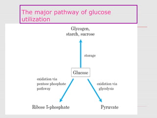 8
The major pathway of glucose
utilization
 