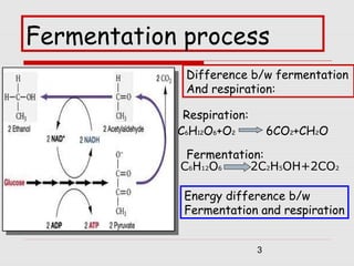 Carbohydrate Fermentation