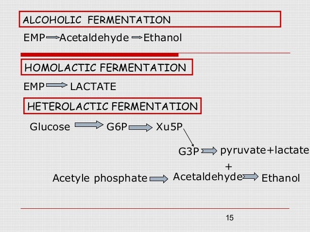 Fermentation of carbohydrates - Fermentation Of CarbohyDrates 15 638