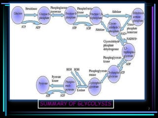 Fermentation of carbohydrates | PPT
