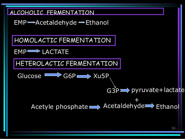 carbohydrate fermentation essay Carbohydrate fermentation testing essay sample published by admin on november 17, 2017 a what is agitation it is a metabolic procedure that allows the production . carbohydrate fermentation essay Carbohydrate fermentation testing essay sample published by admin on november 17, 2017 a what is agitation it is a metabolic procedure that allows the production .