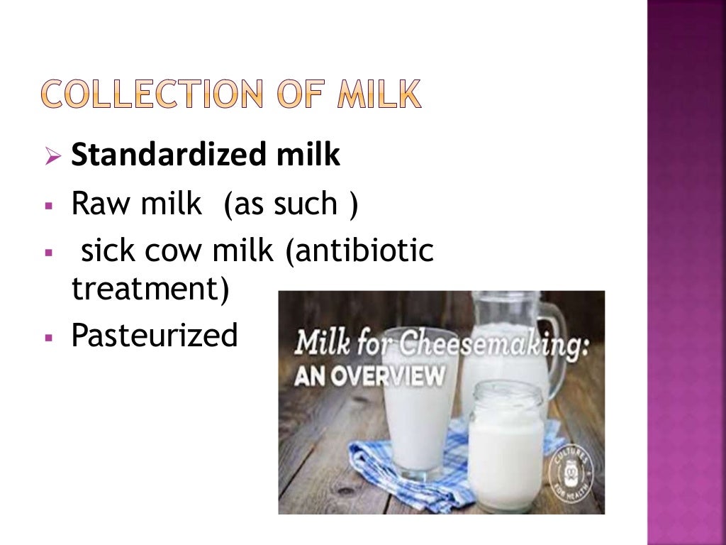 Fermentation of cheese (1)